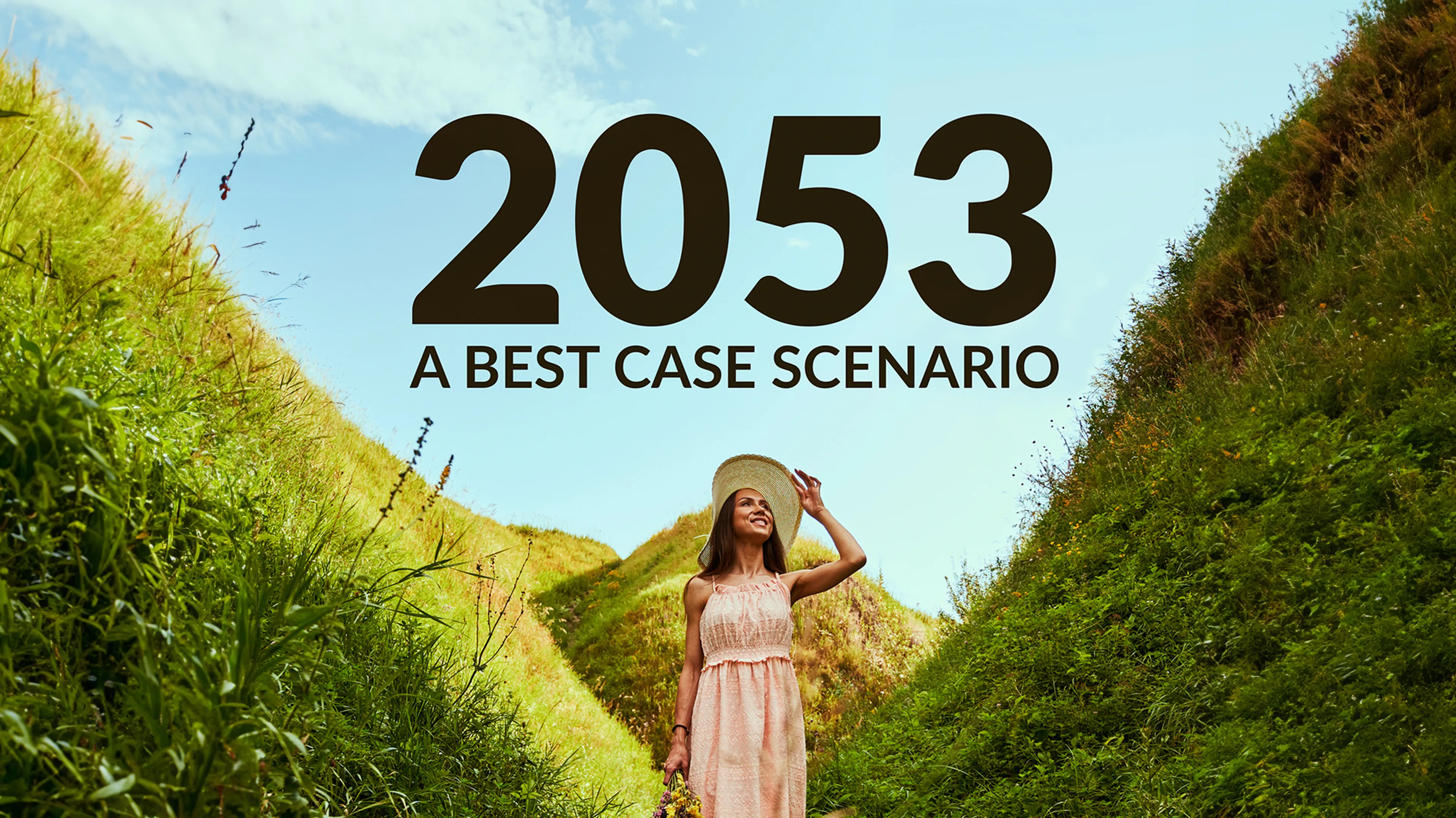 2053: A Best Case Scenario poster